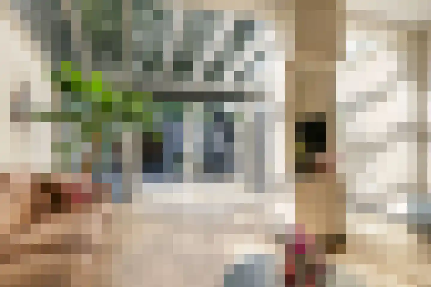 Beersstraat 42 Arnhem thumbnail 17