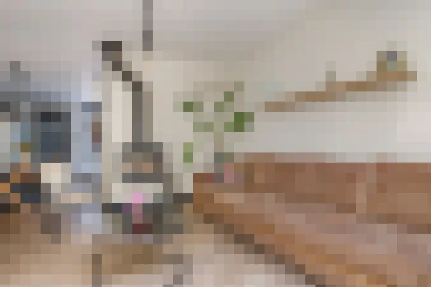 Beersstraat 42 Arnhem thumbnail 19