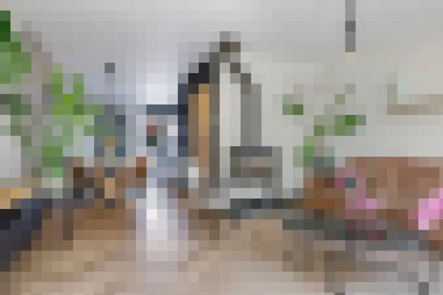 Beersstraat 42 Arnhem thumbnail 22