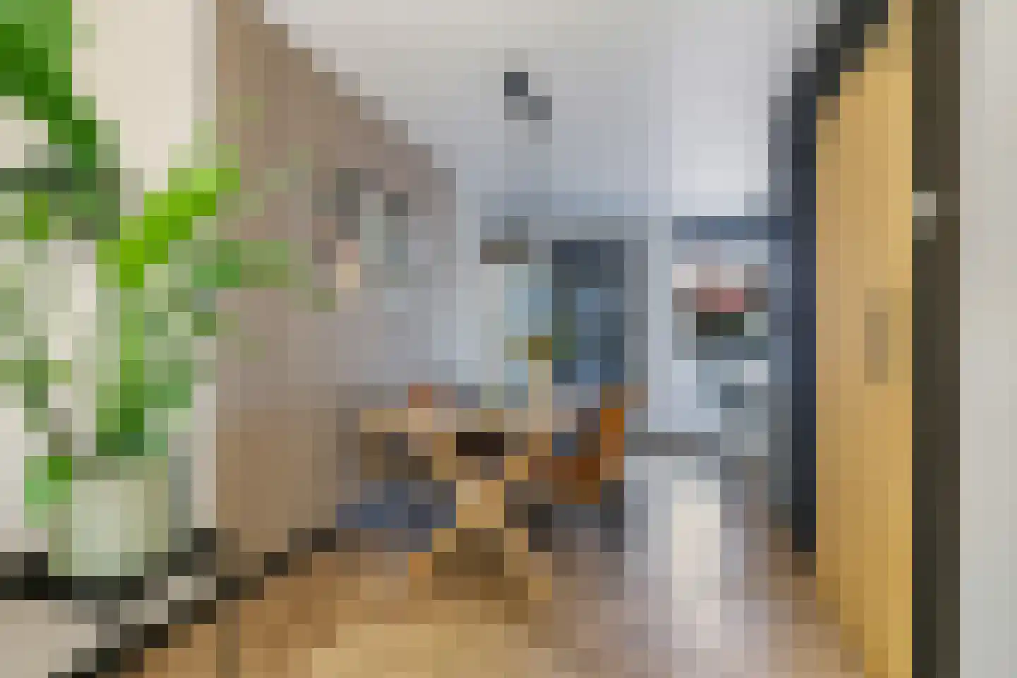 Beersstraat 42 Arnhem thumbnail 23