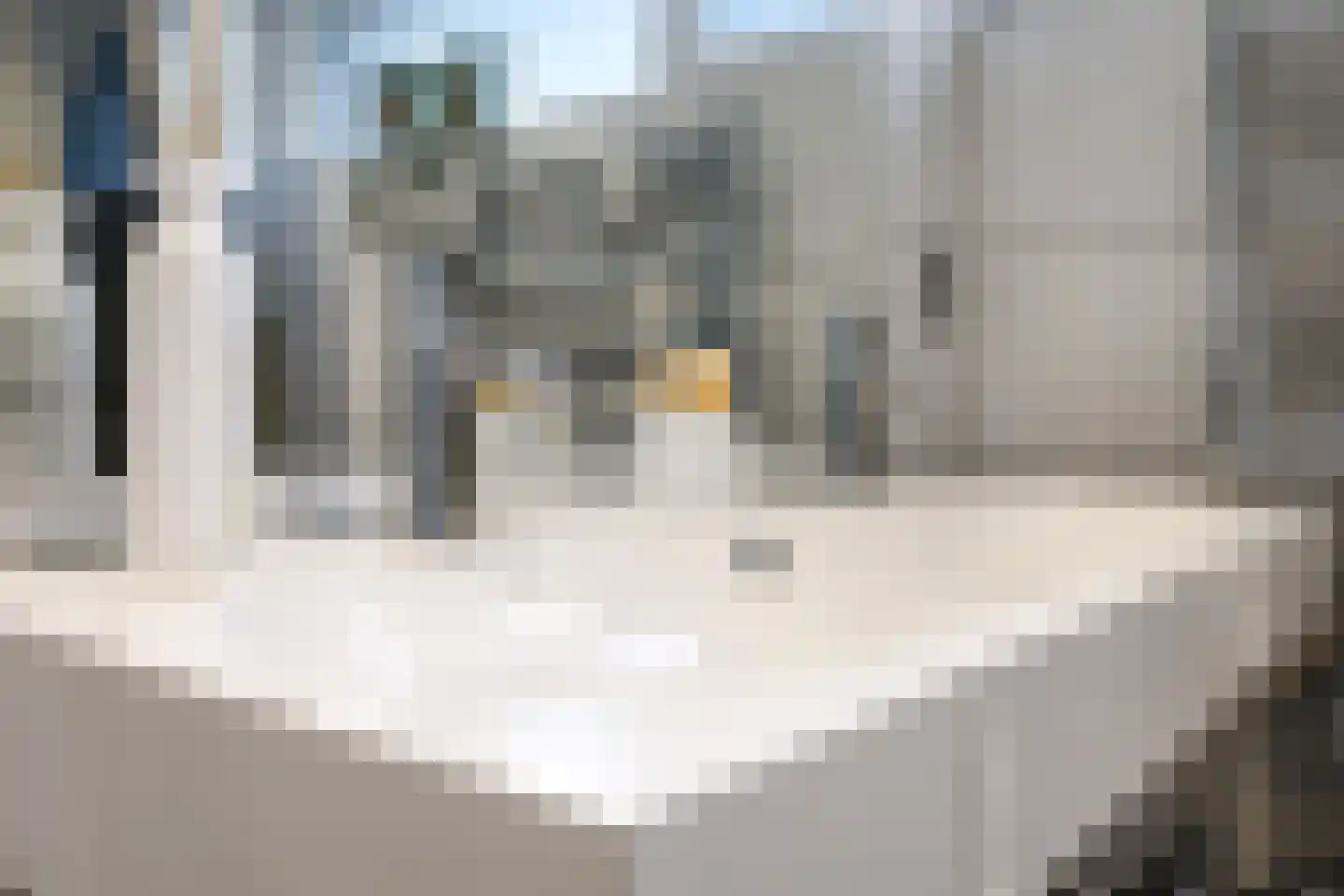 Beersstraat 42 Arnhem thumbnail 47