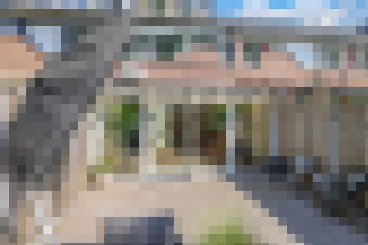 Beersstraat 42 Arnhem thumbnail 60