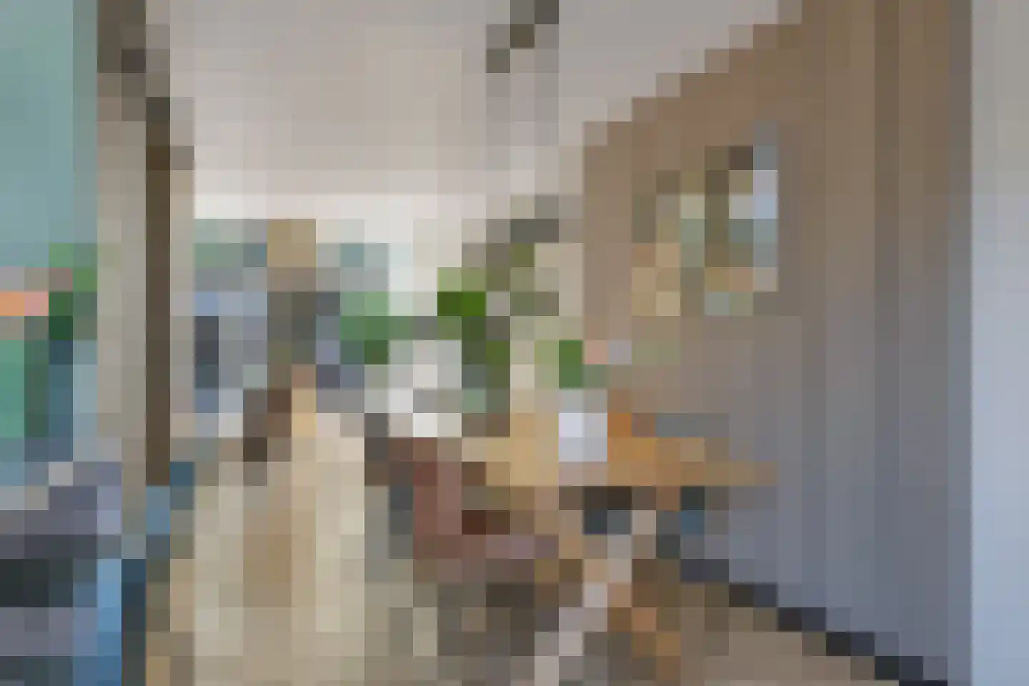 Beersstraat 42 Arnhem thumbnail 8