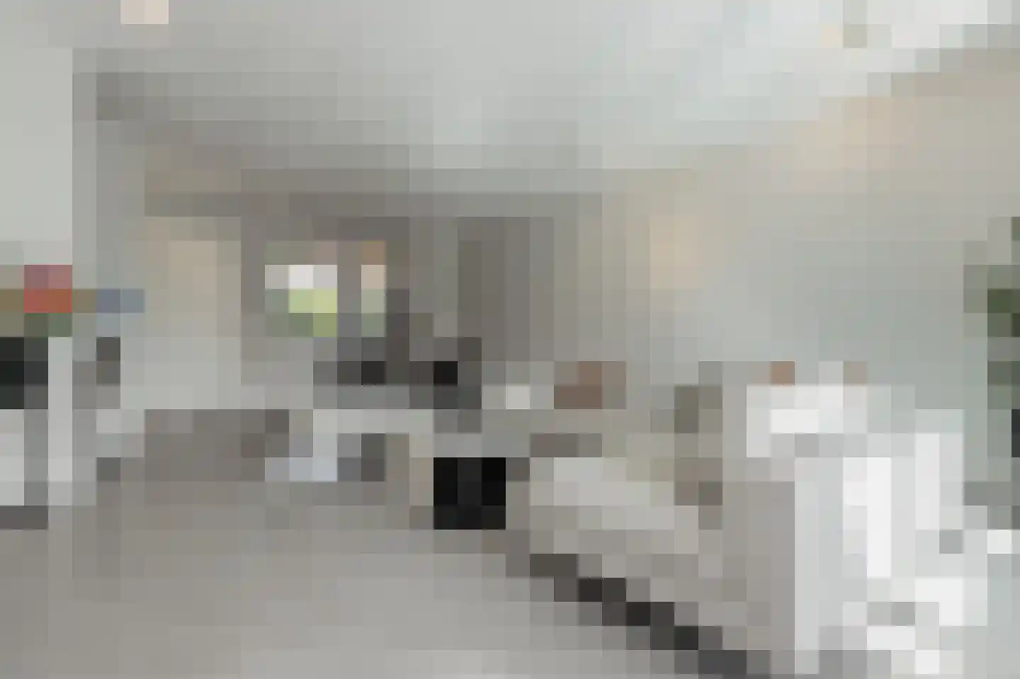 Beersteeg 15 Zaltbommel thumbnail 10