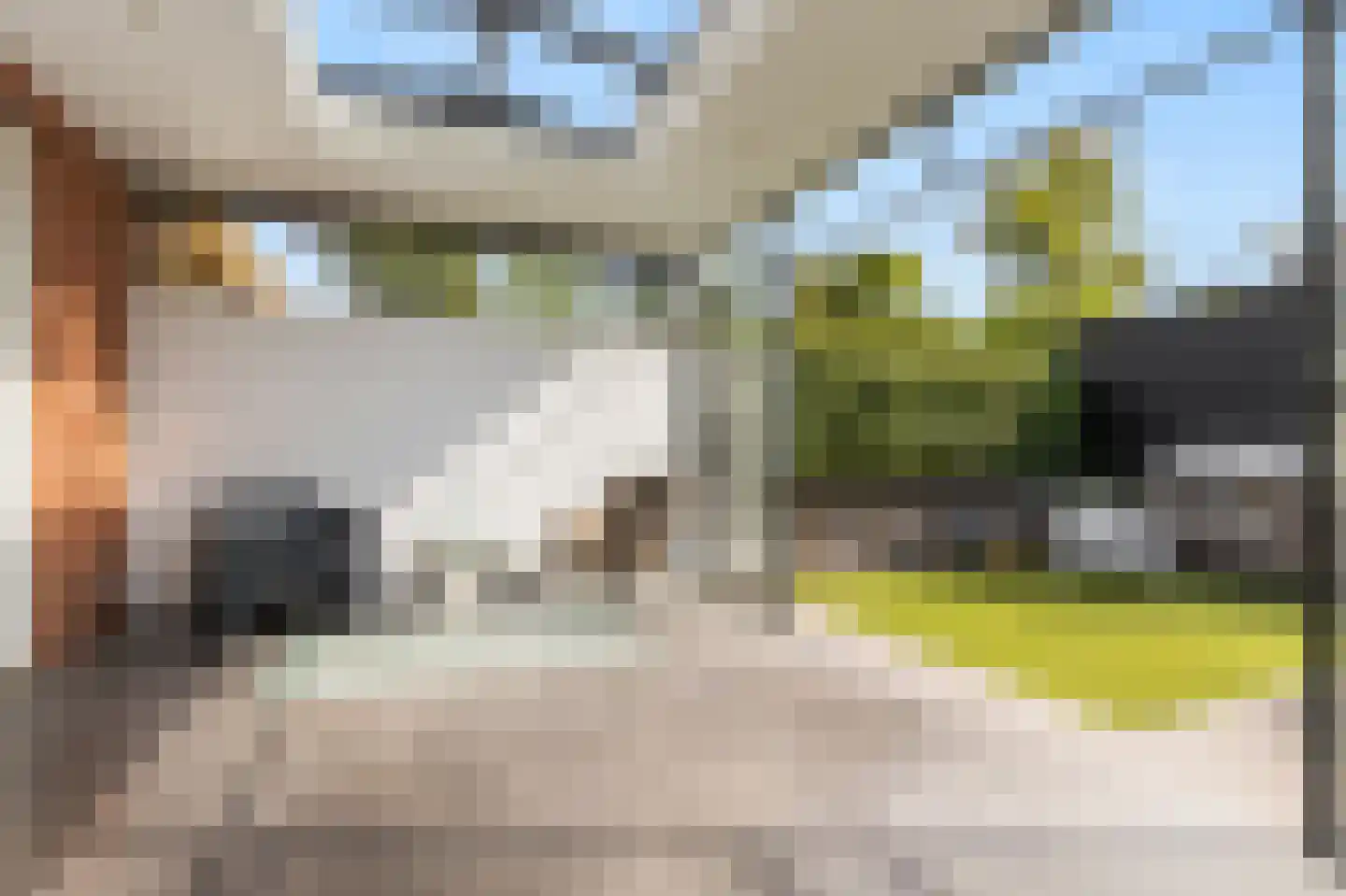 Beersteeg 15 Zaltbommel thumbnail 49