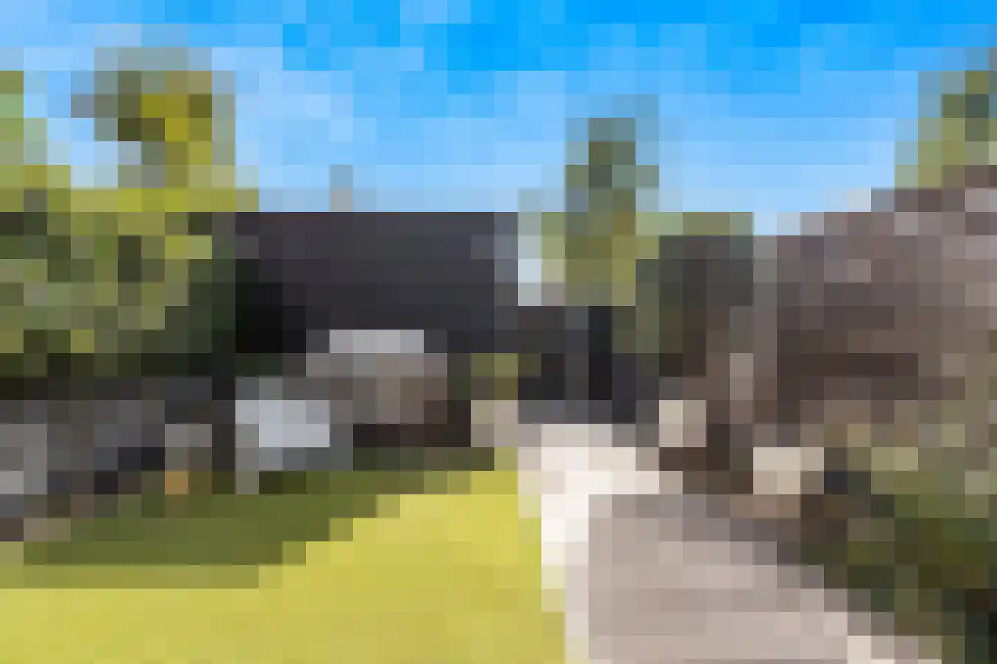 Beersteeg 15 Zaltbommel thumbnail 51