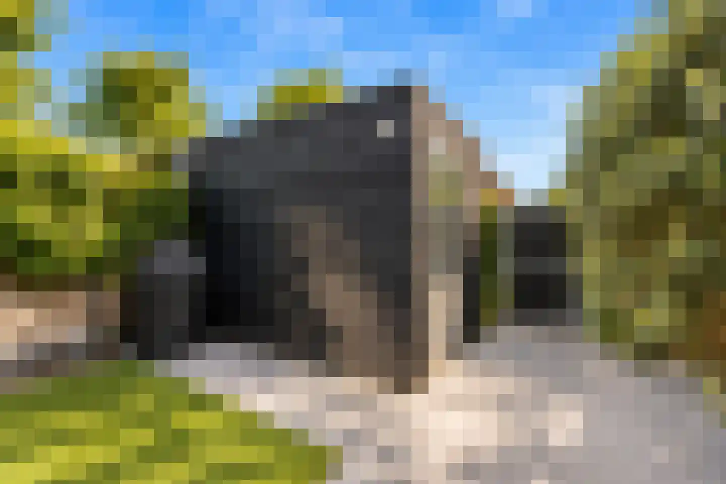 Beersteeg 15 Zaltbommel thumbnail 53