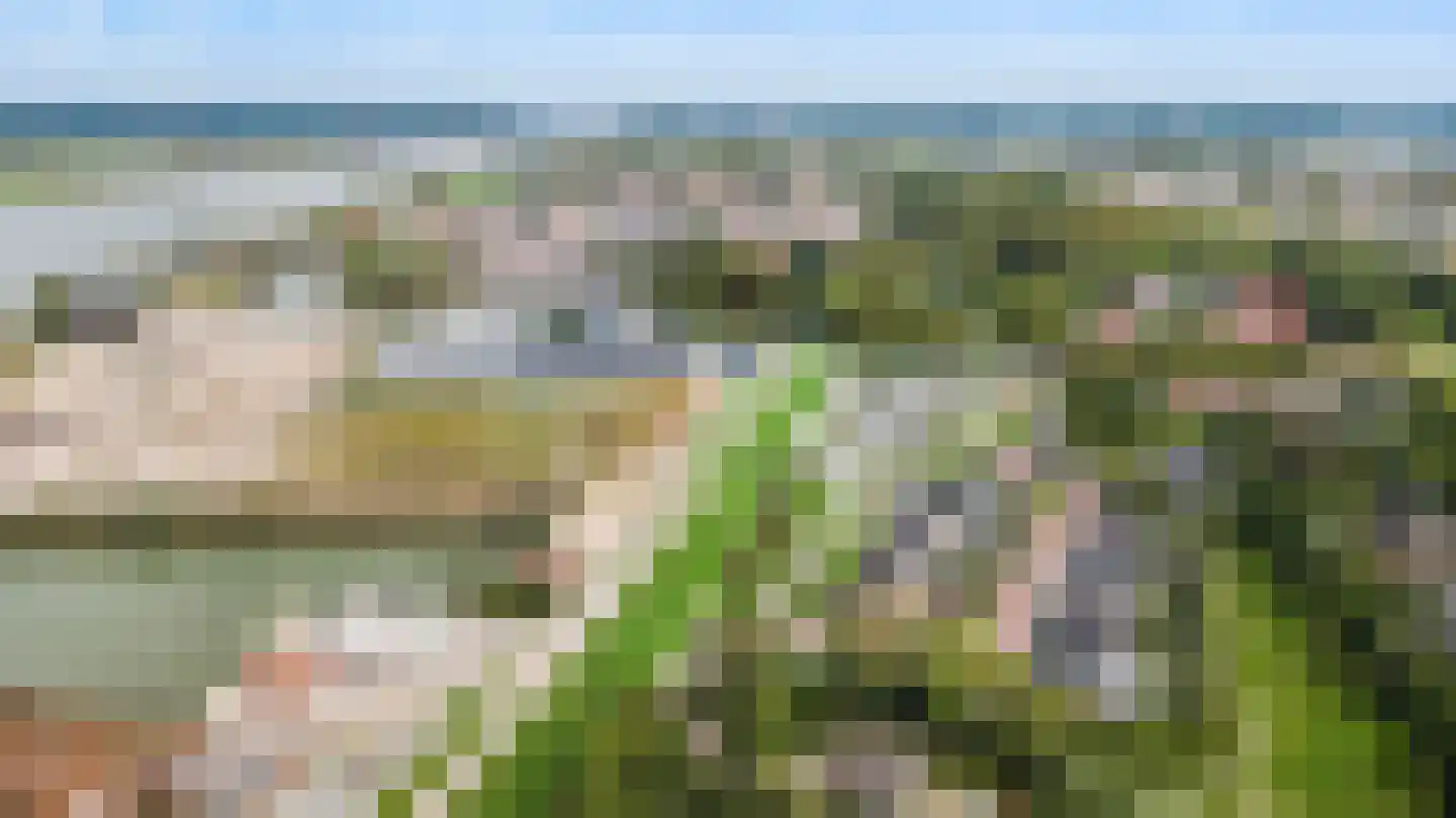 Beersteeg 15 Zaltbommel thumbnail 74