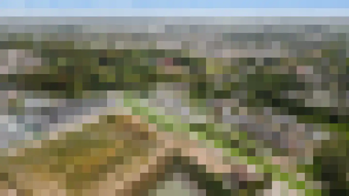 Beersteeg 15 Zaltbommel thumbnail 77