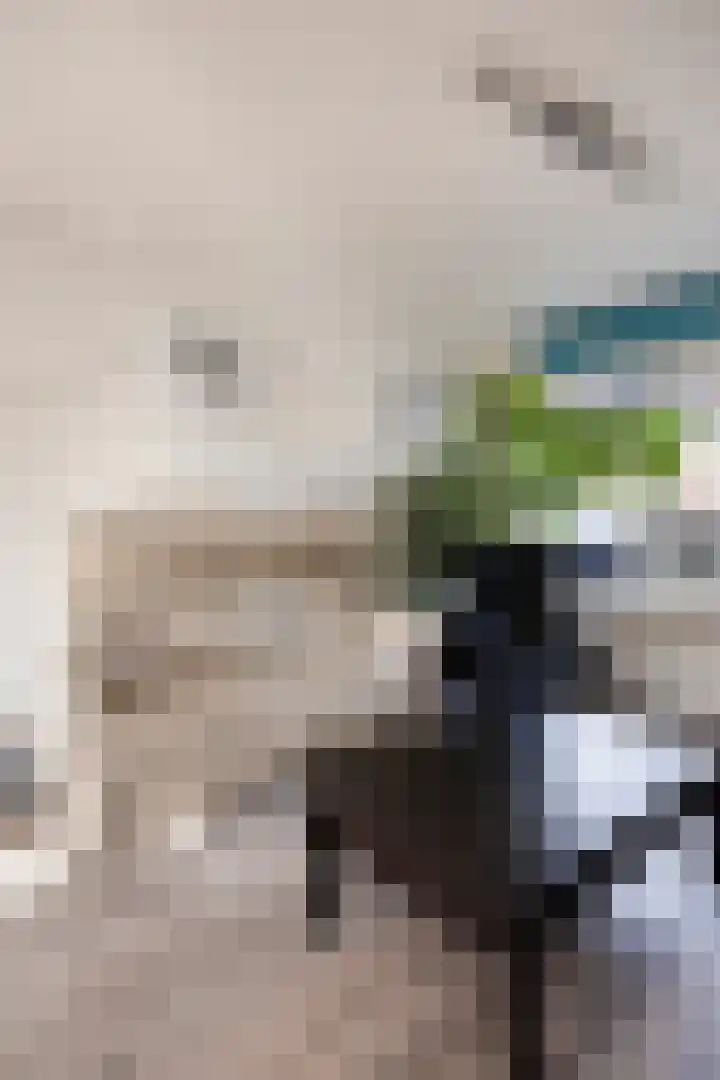 Beertastraat 10 Tilburg thumbnail 10