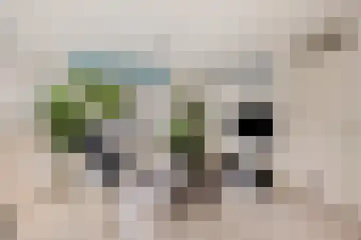Beertastraat 10 Tilburg thumbnail 6