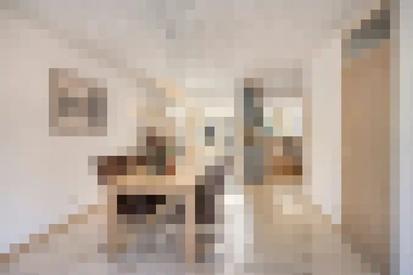 Beertastraat 32 Tilburg thumbnail 16