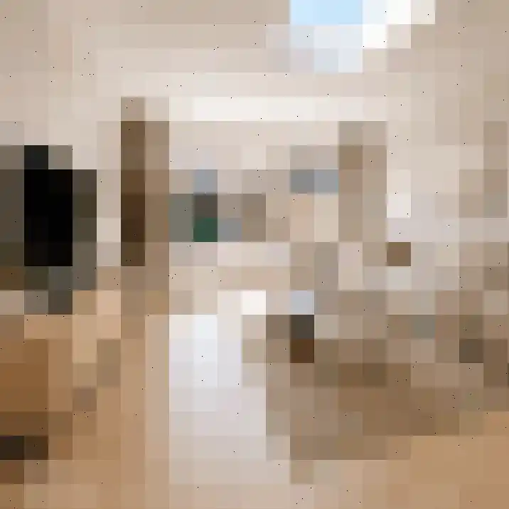 Beertastraat 32 Tilburg thumbnail 19