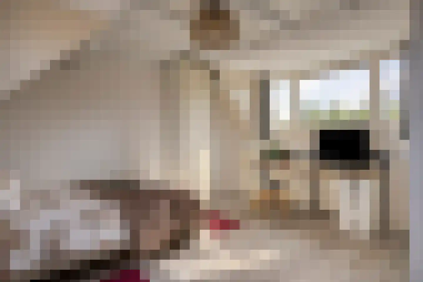 Beertastraat 32 Tilburg thumbnail 29