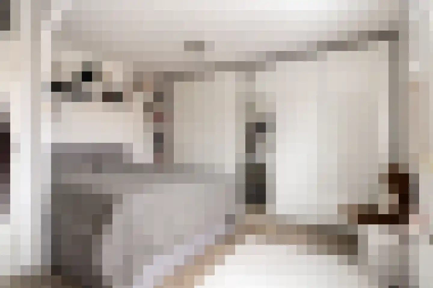 Beertastraat 33 Tilburg thumbnail 21