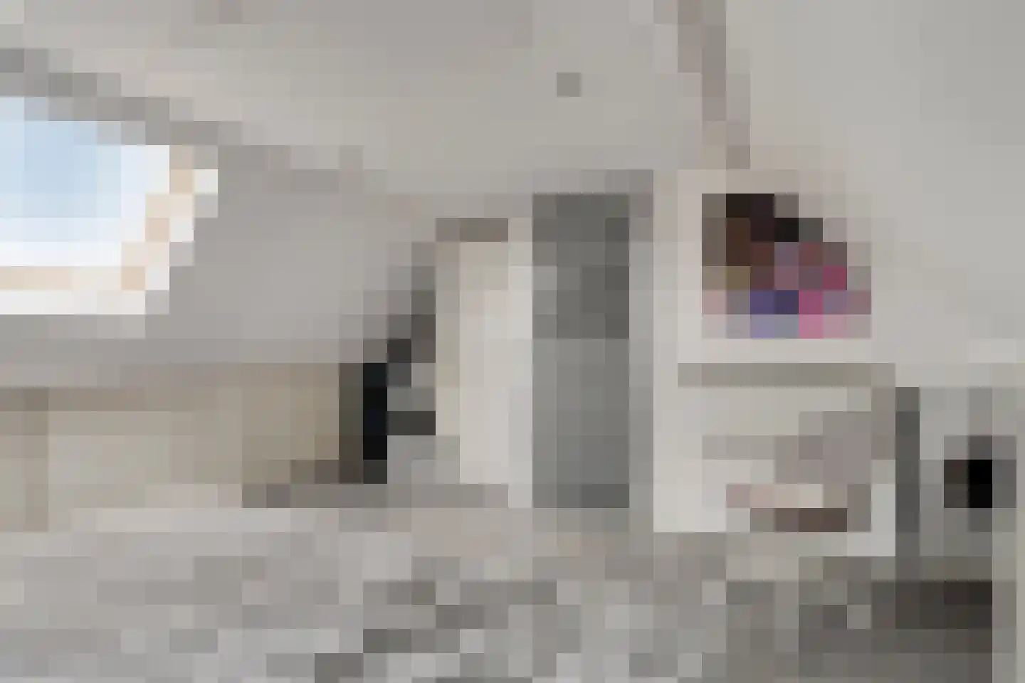 Beertastraat 33 Tilburg thumbnail 29