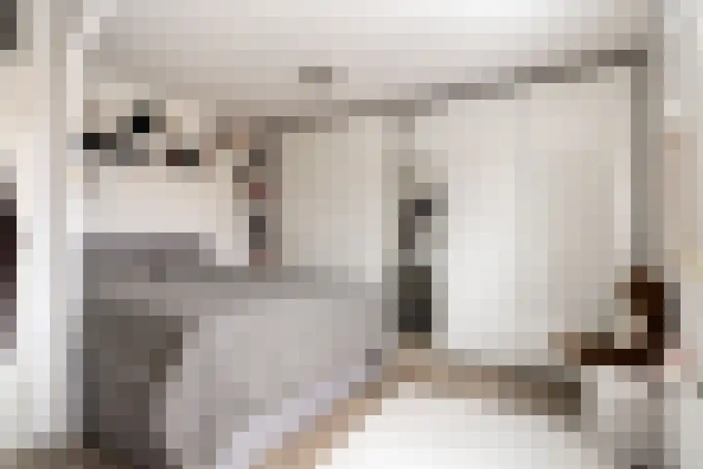 Beertastraat 33 Tilburg thumbnail 4