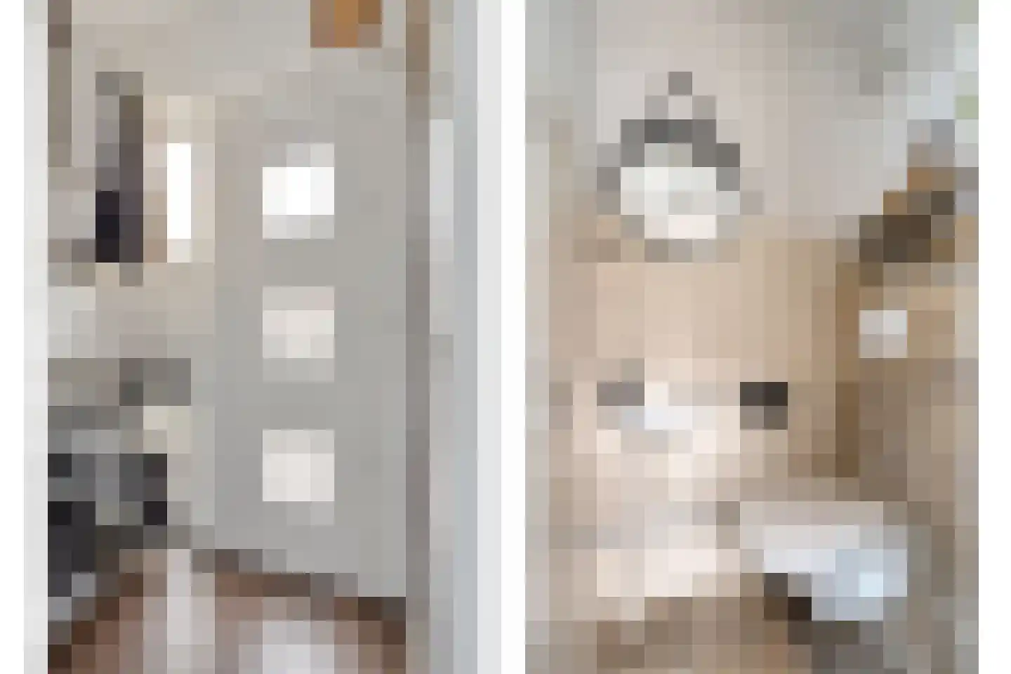 Beertastraat 33 Tilburg thumbnail 7