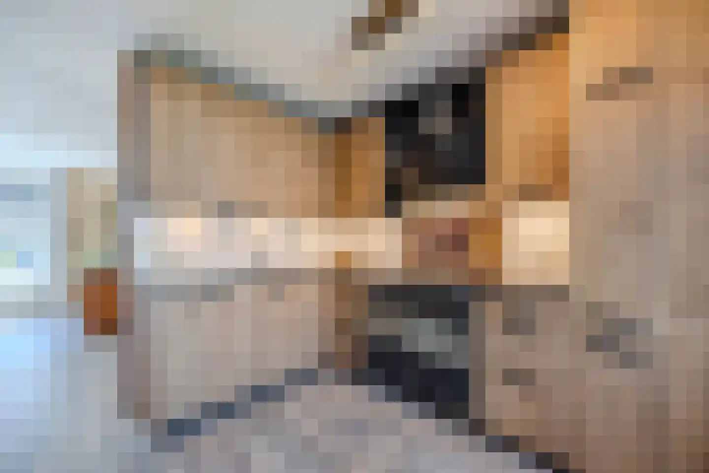 Beertastraat 35 Tilburg thumbnail 10