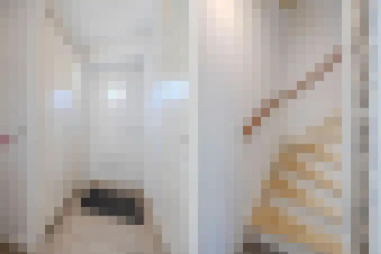 Beertastraat 35 Tilburg thumbnail 13