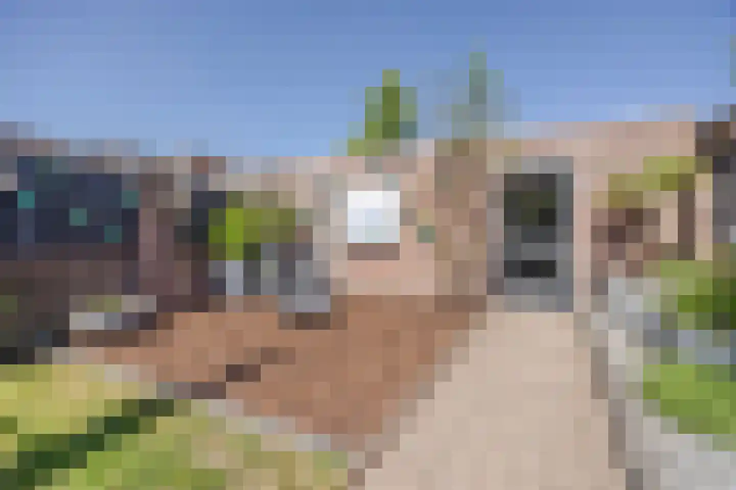 Beertastraat 35 Tilburg thumbnail 32