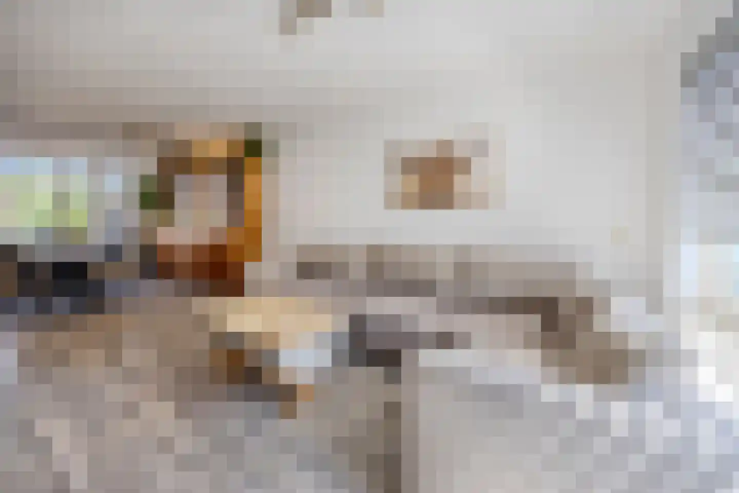 Beertastraat 35 Tilburg thumbnail 5