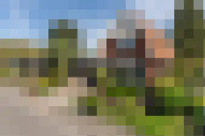 Beertsterweg 13 B Winschoten thumbnail 53