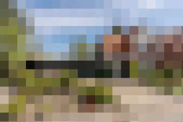 Beertsterweg 13 B Winschoten thumbnail 60