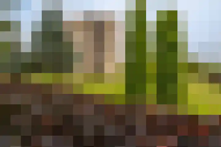 Beertsterweg 16 B Winschoten thumbnail 5