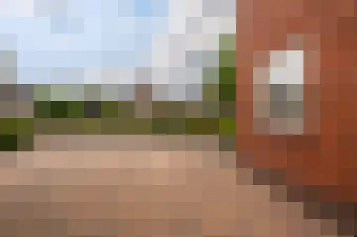 Beertsterweg 7 Winschoten thumbnail 51