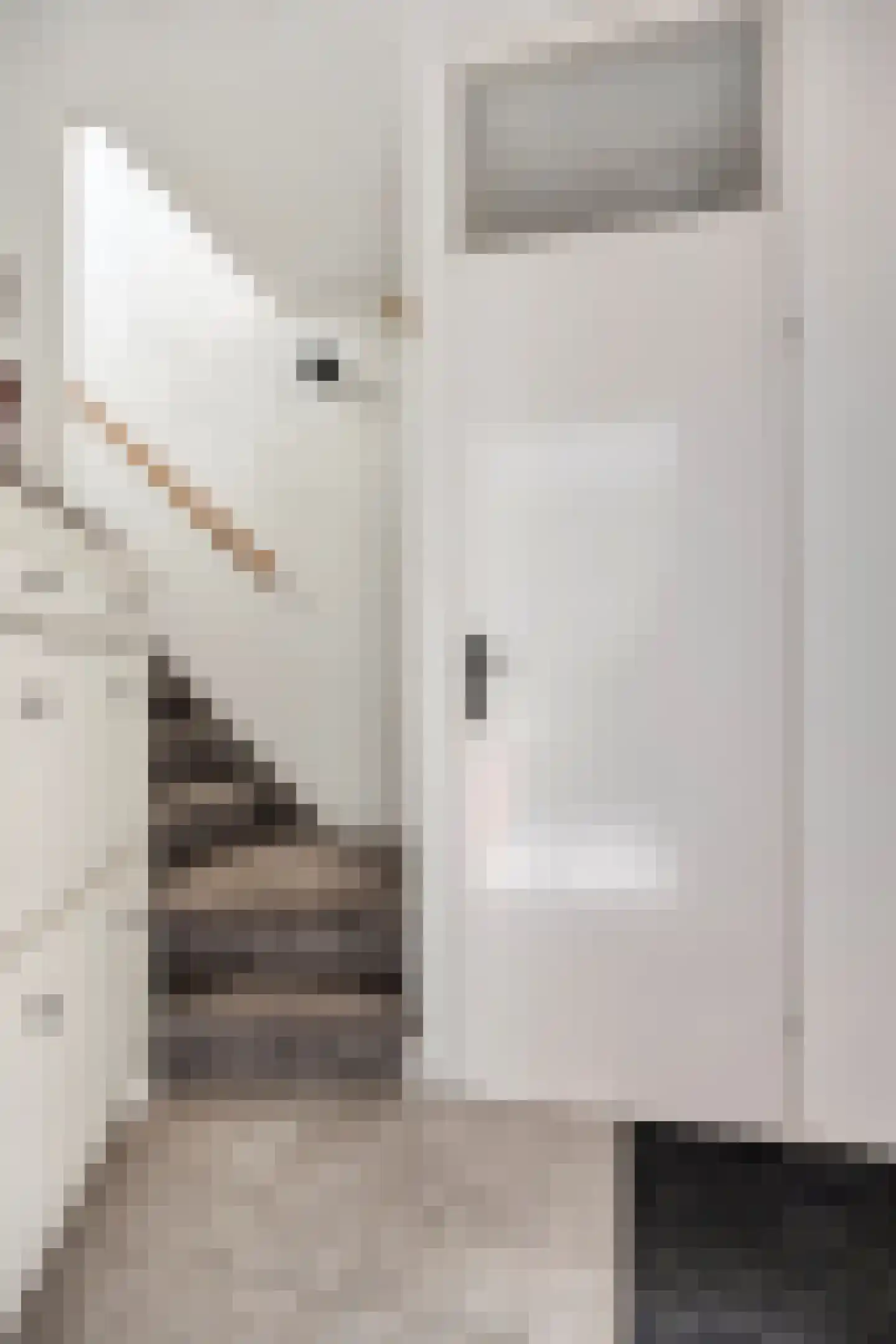 Beerze 128 Wijk bij Duurstede thumbnail 12