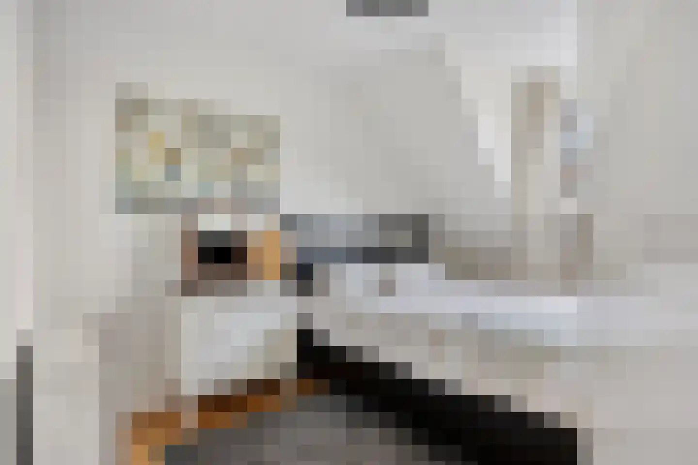 Beerze 128 Wijk bij Duurstede thumbnail 29