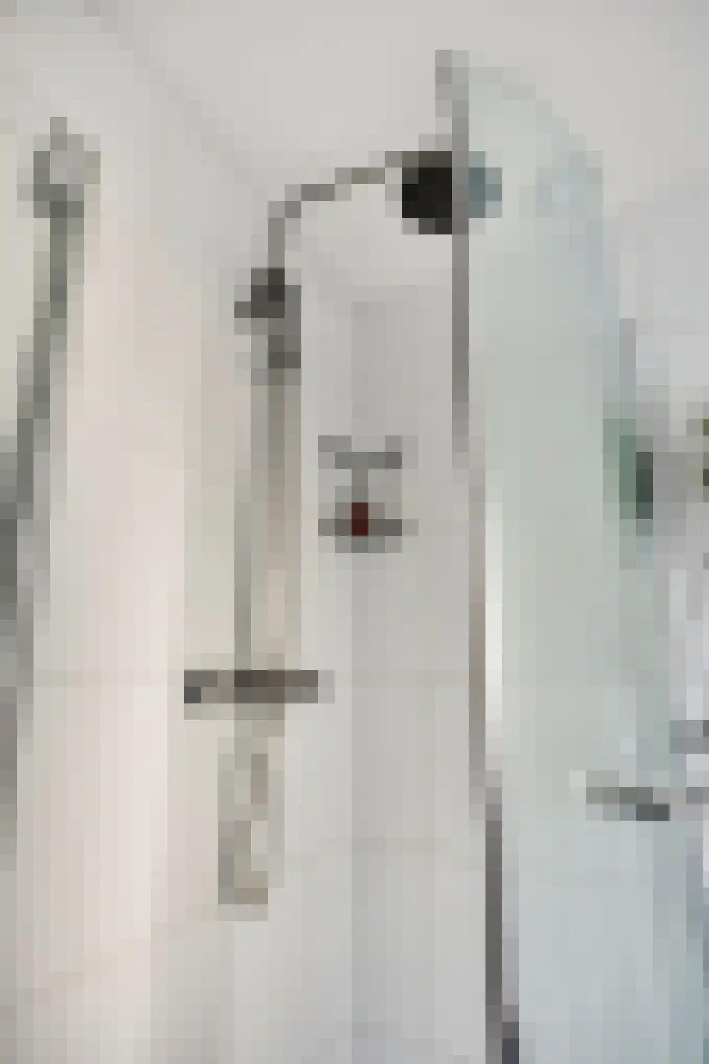 Beerze 128 Wijk bij Duurstede thumbnail 32
