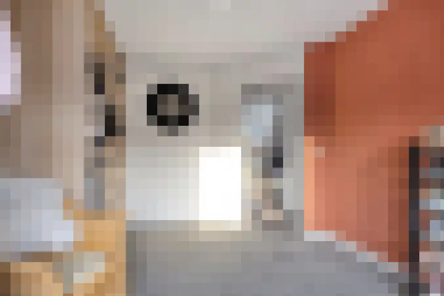 Beerze 128 Wijk bij Duurstede thumbnail 38