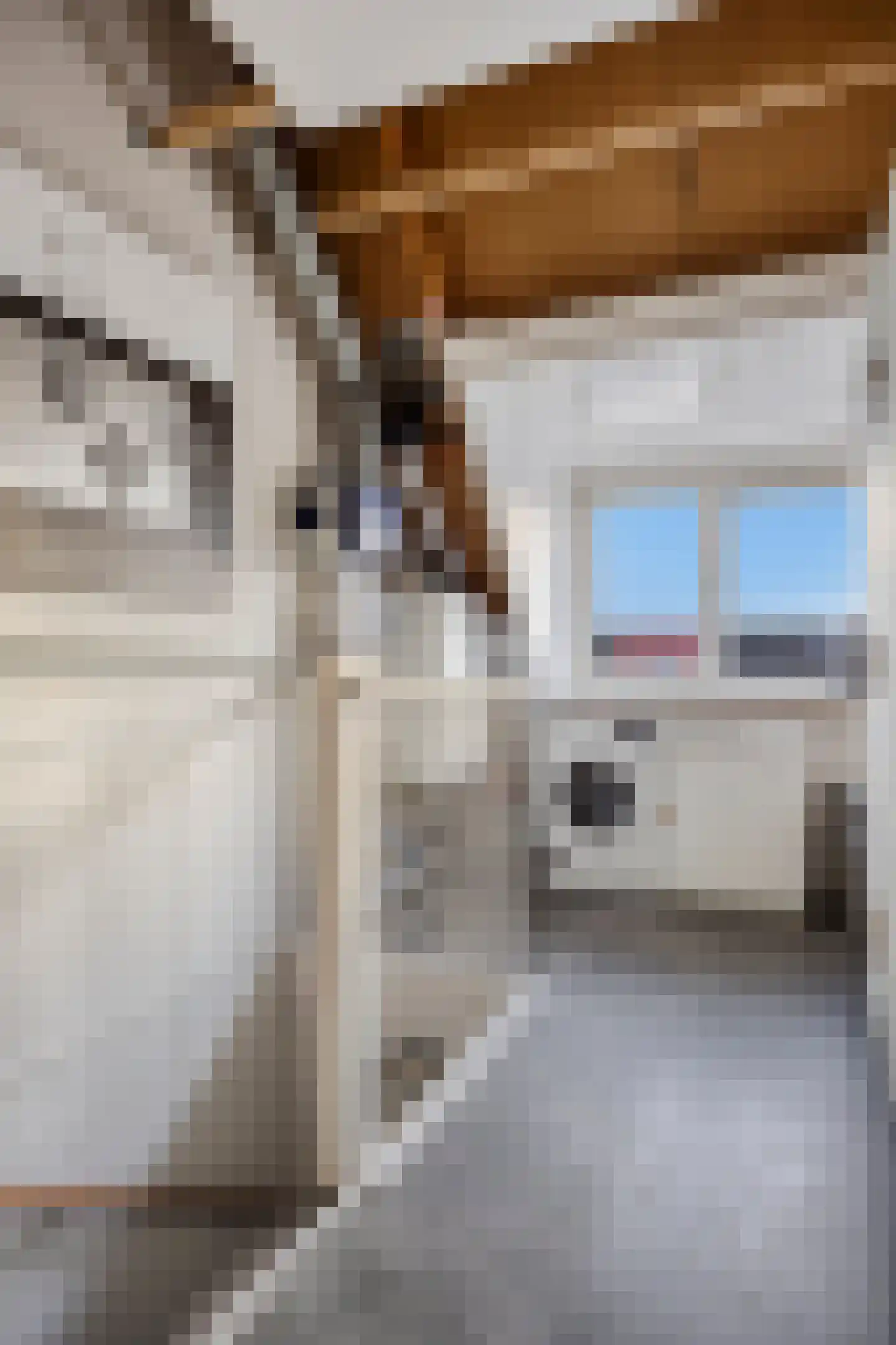 Beerze 128 Wijk bij Duurstede thumbnail 39