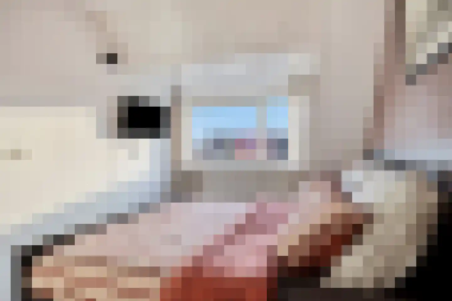 Beerze 128 Wijk bij Duurstede thumbnail 41