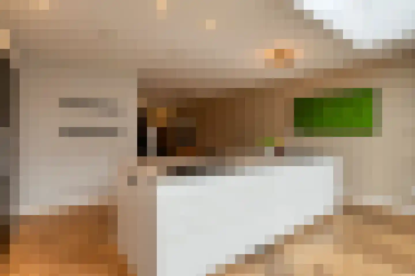 Beerze 14 Valkenswaard thumbnail 8