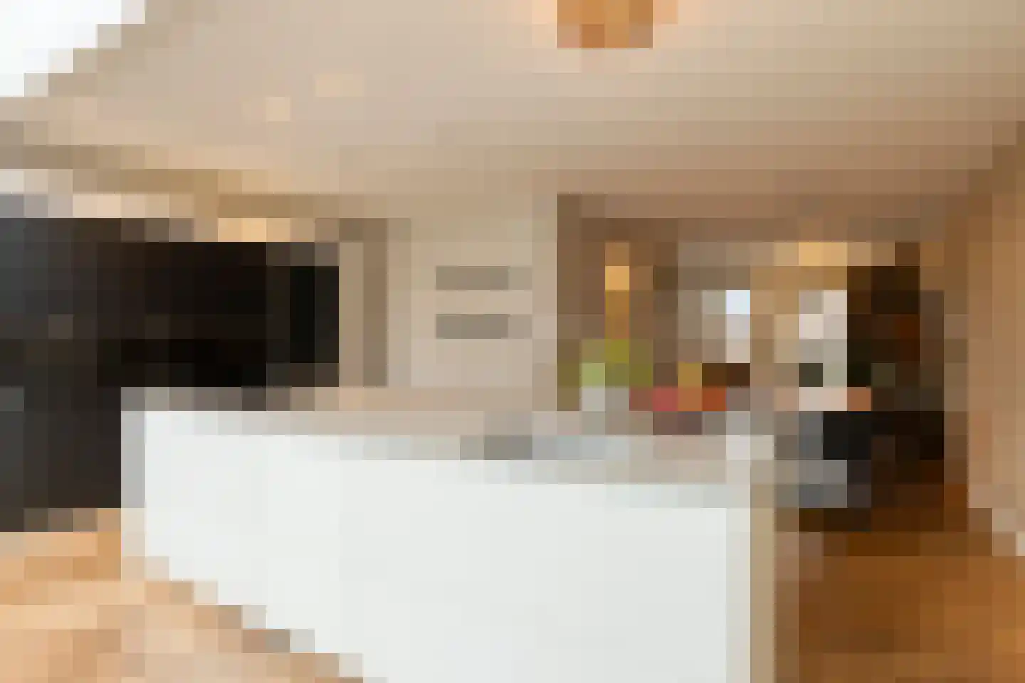 Beerze 14 Valkenswaard thumbnail 9