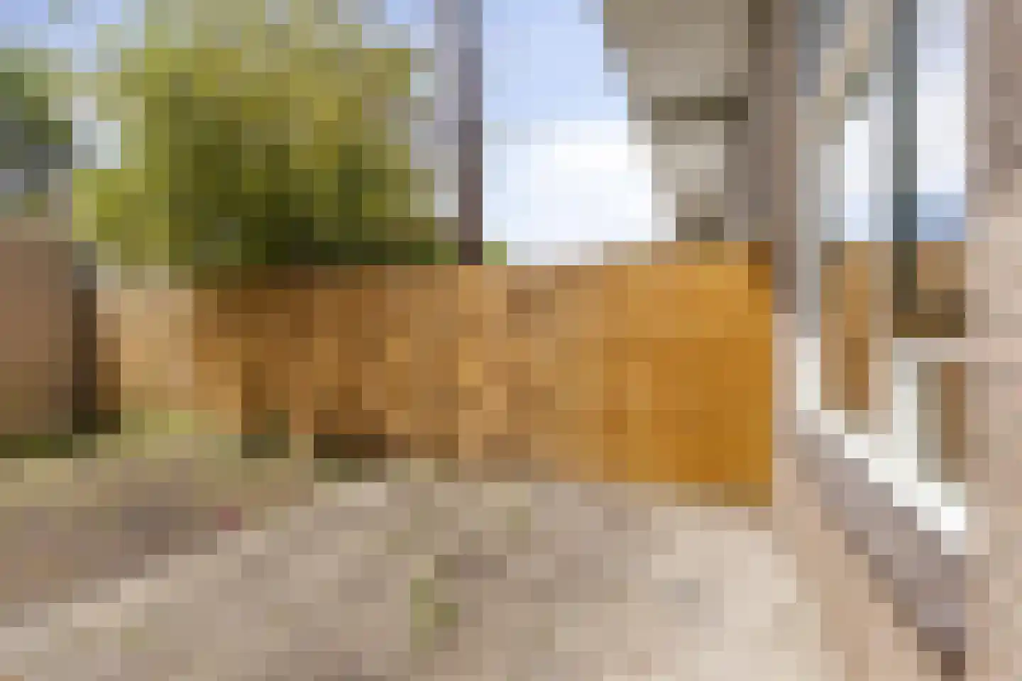 Beerze 33 Rotterdam thumbnail 20