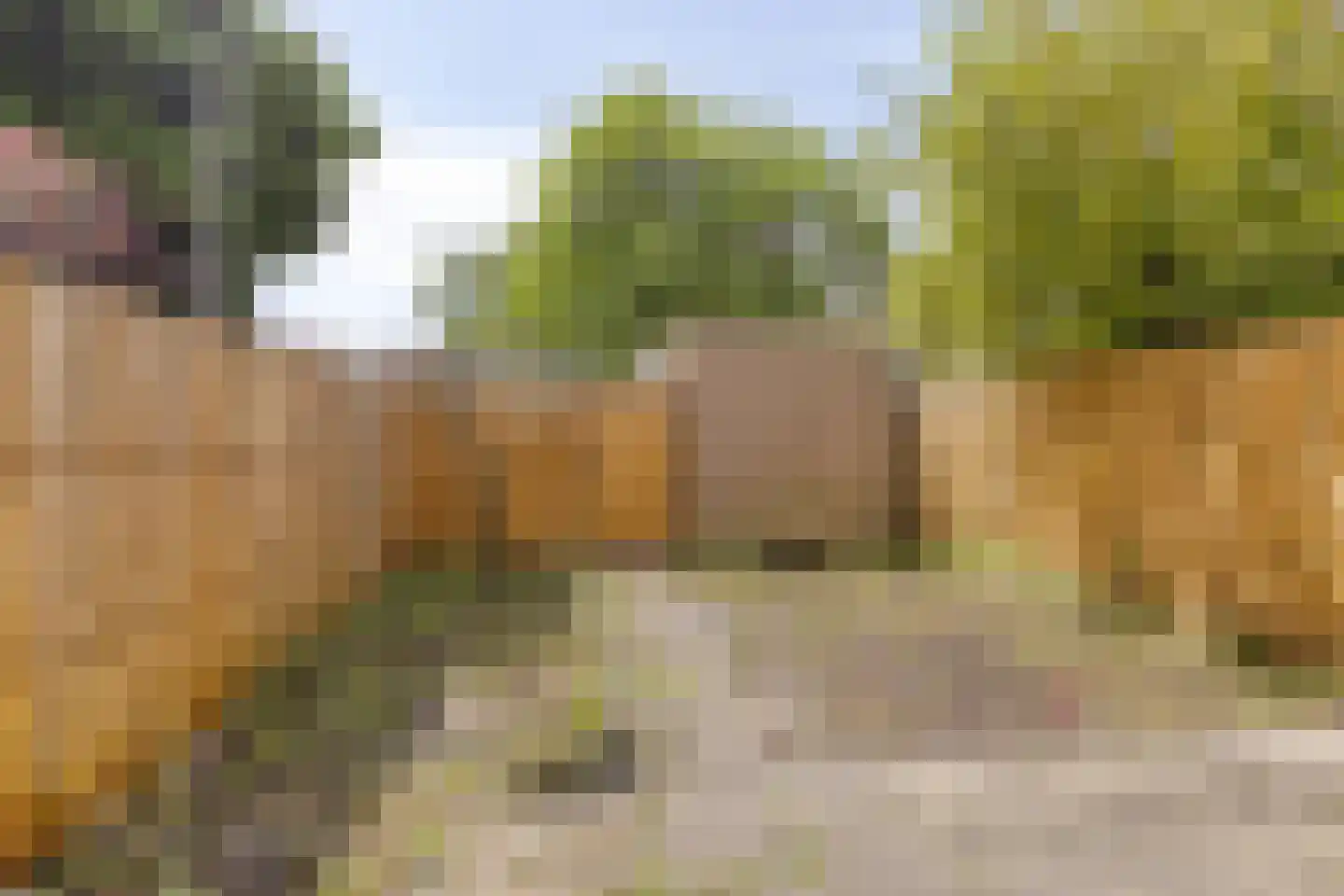 Beerze 33 Rotterdam thumbnail 21