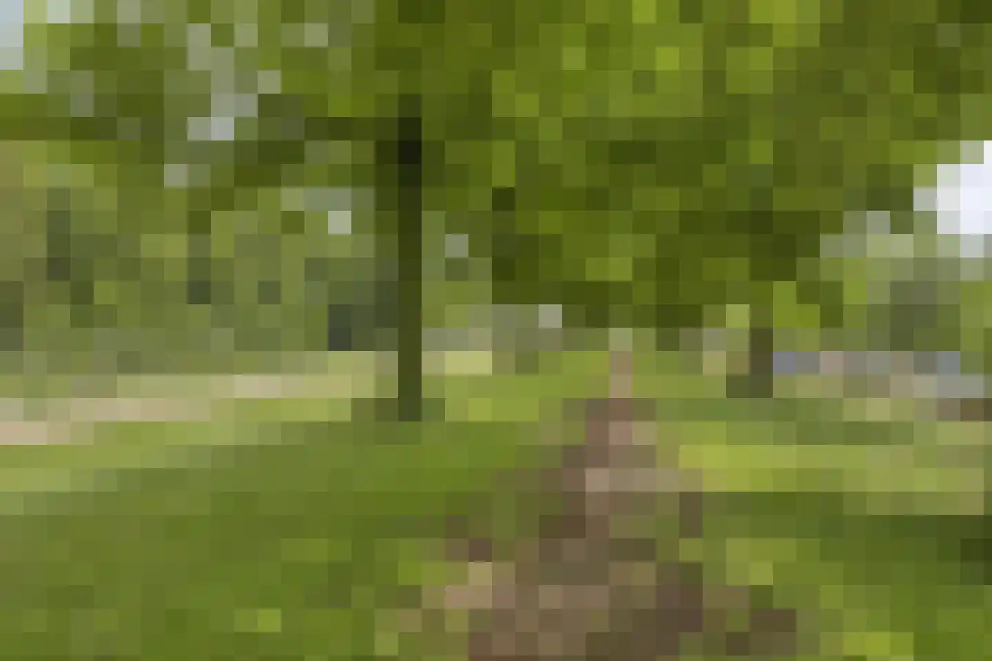 Beerze 33 Rotterdam thumbnail 23
