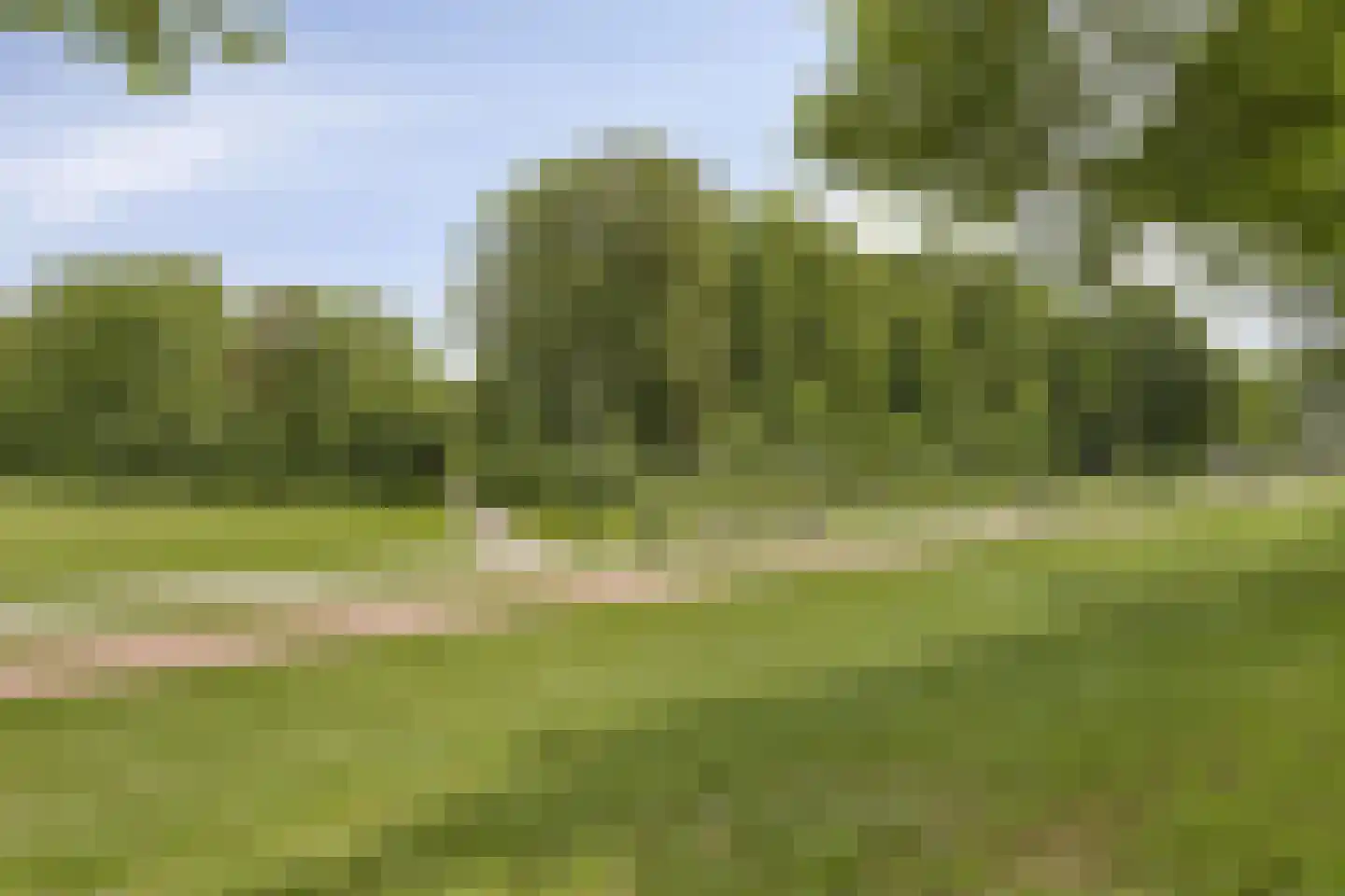 Beerze 33 Rotterdam thumbnail 24