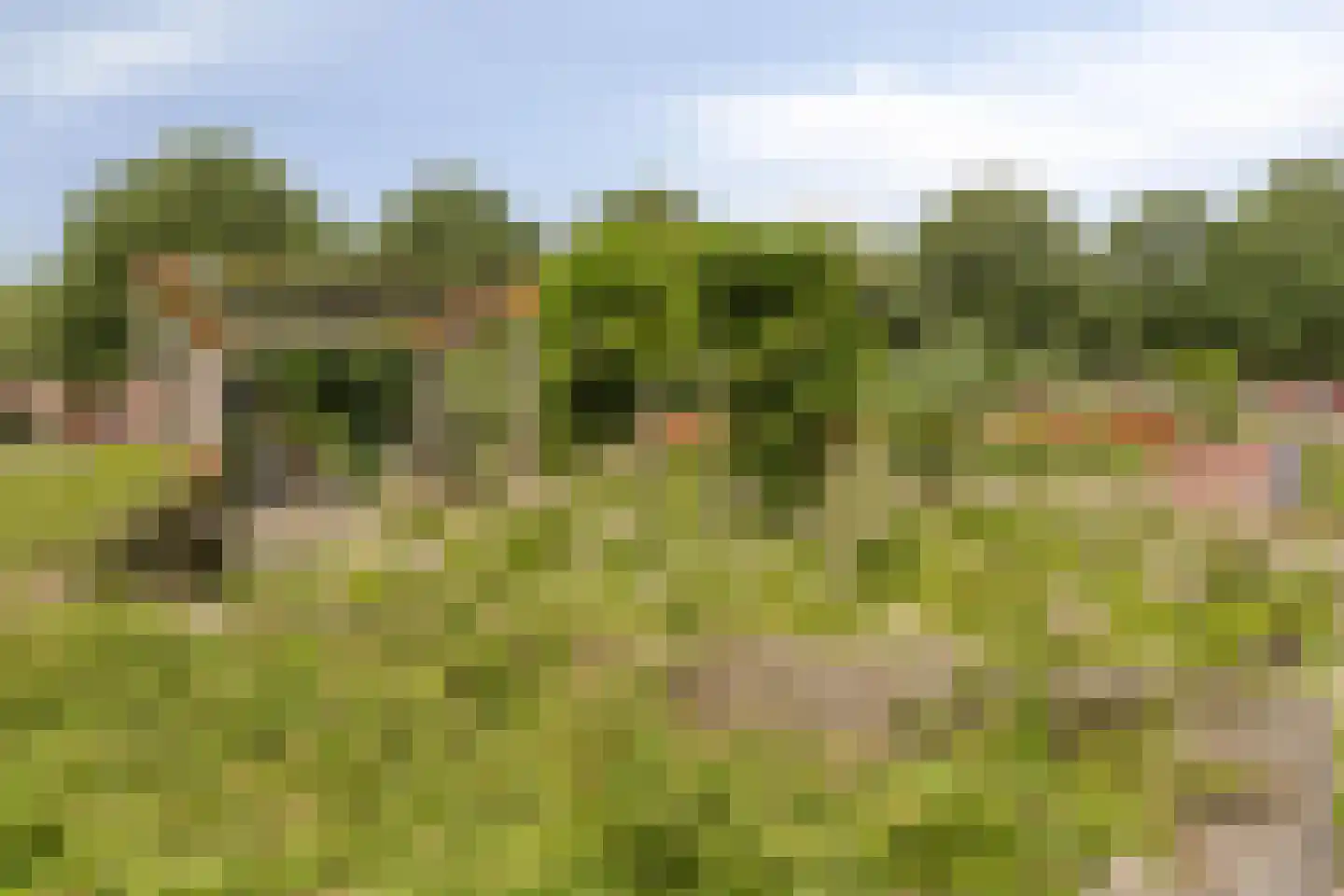 Beerze 33 Rotterdam thumbnail 25