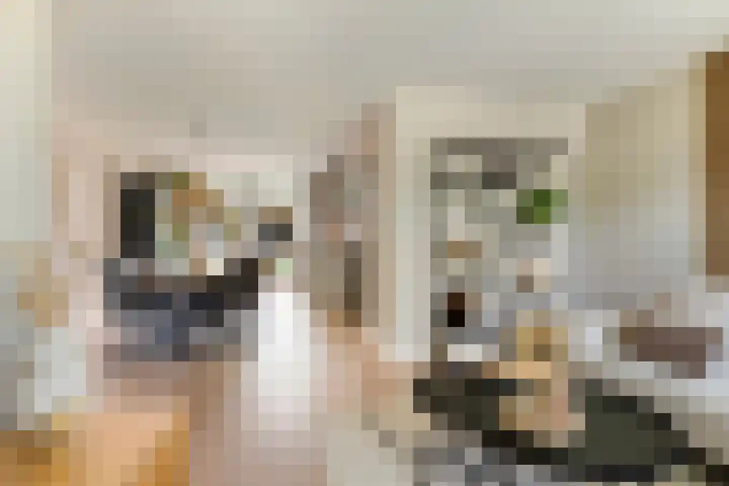 Beerze 4 Kaatsheuvel thumbnail 10