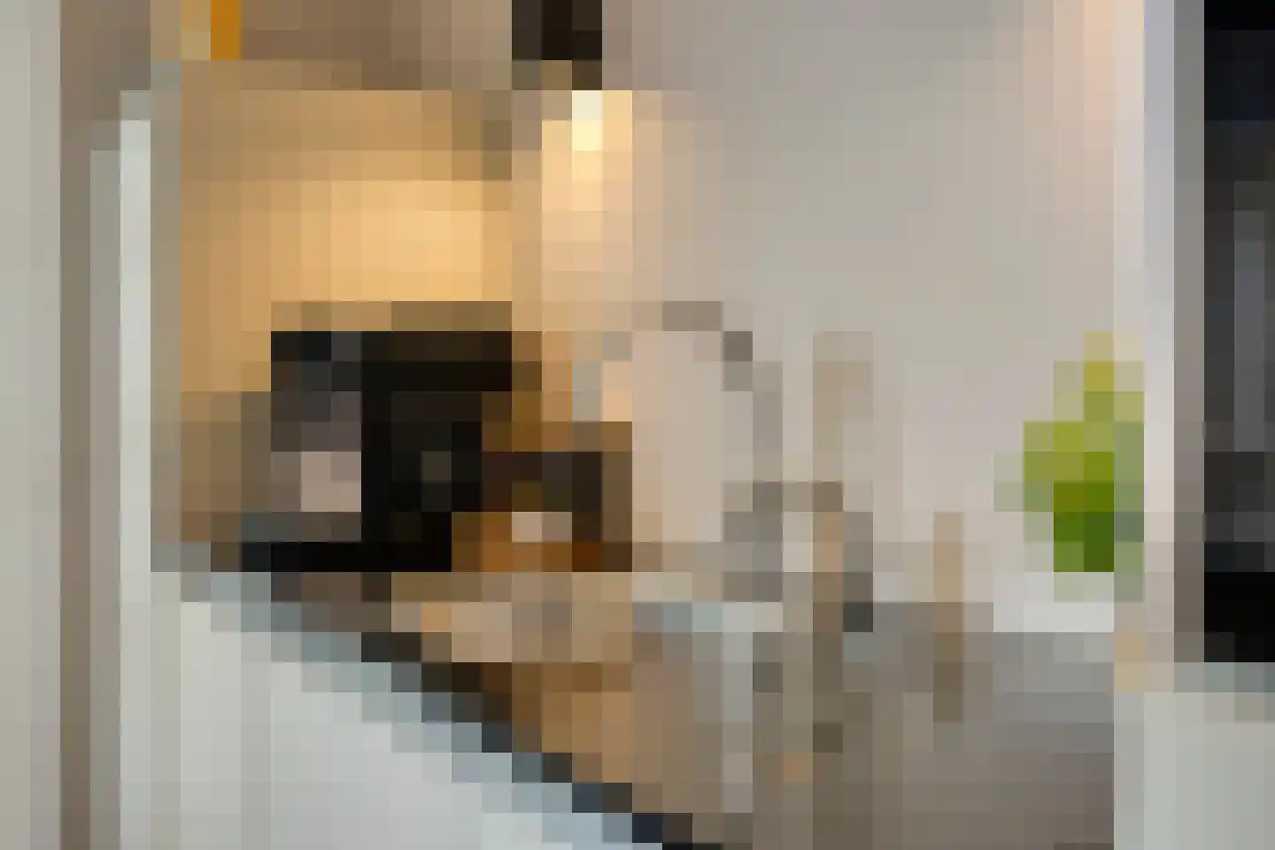 Beerze 4 Kaatsheuvel thumbnail 17