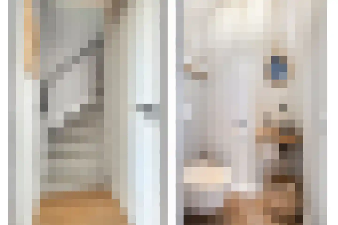 Beerze 4 Kaatsheuvel thumbnail 19