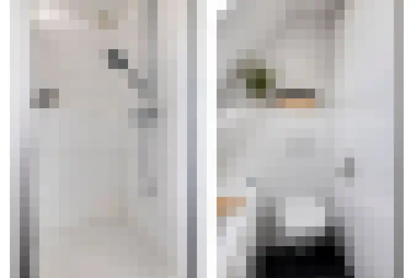 Beerze 4 Kaatsheuvel thumbnail 25