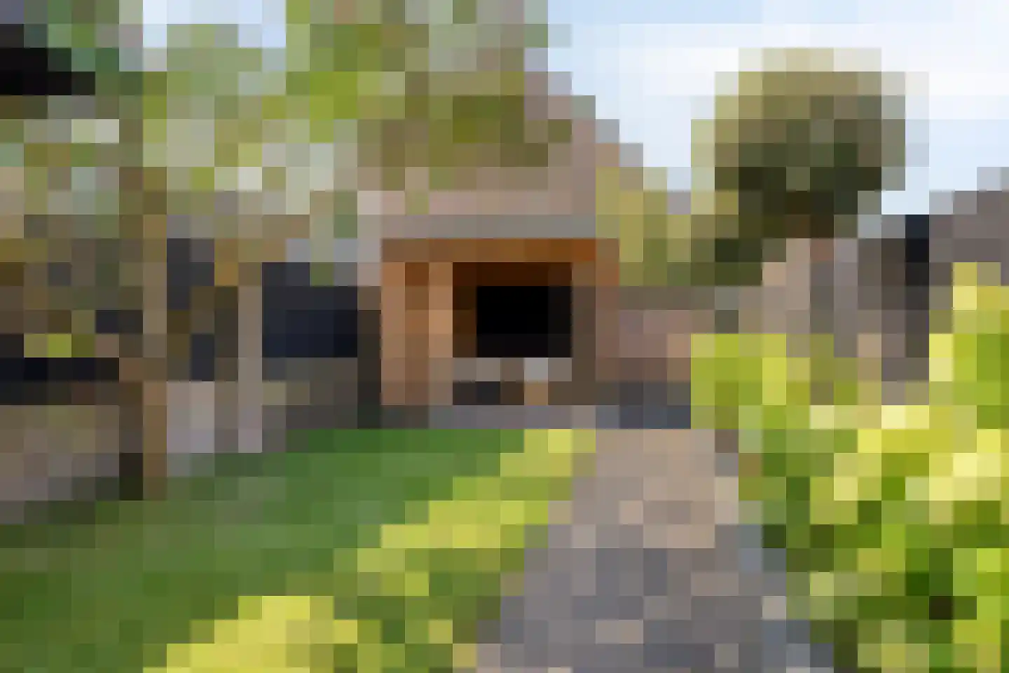 Beerze 4 Kaatsheuvel thumbnail 30