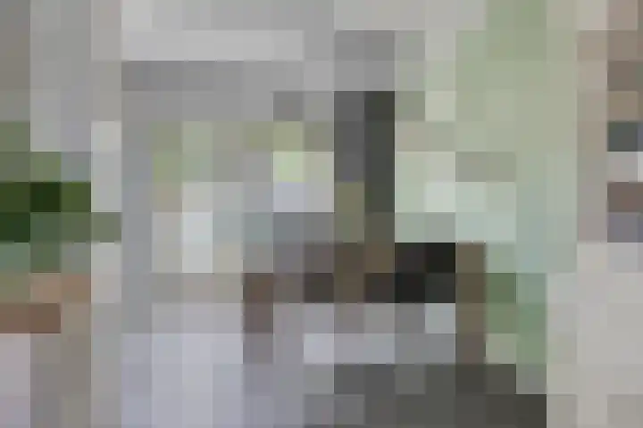 Beerze 5 Kaatsheuvel thumbnail 11