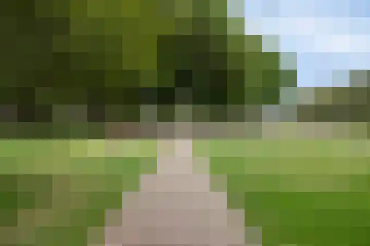 Beerze 5 Kaatsheuvel thumbnail 27